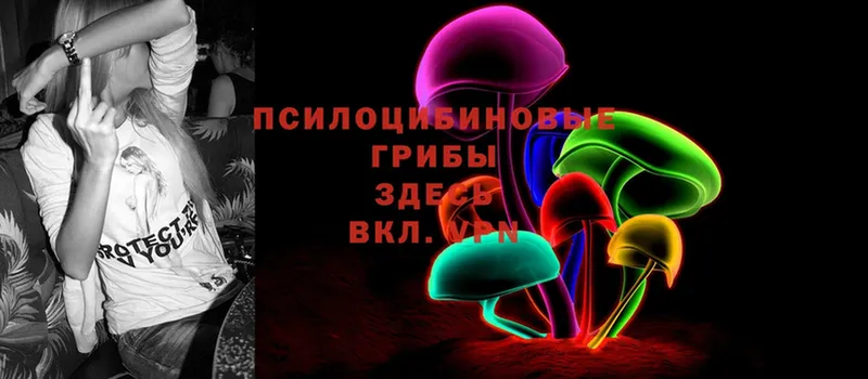 Псилоцибиновые грибы Magic Shrooms  Волоколамск 